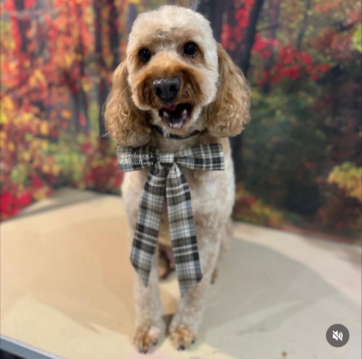 Seasonal Clothes & Accessories